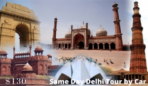  Same Day Delhi Tour By Car | Day Trip to Delhi